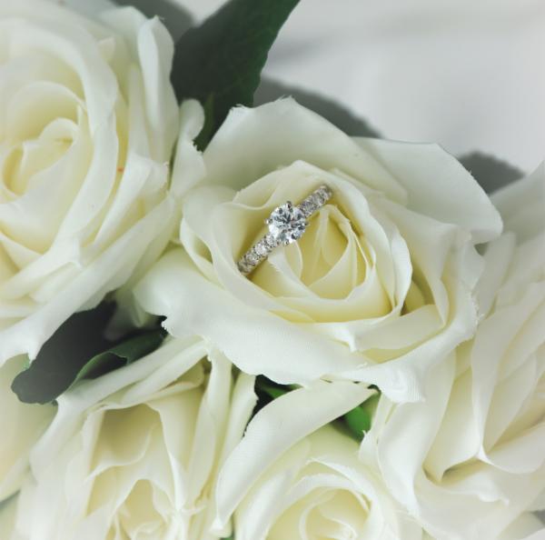 Design sem nome (77)